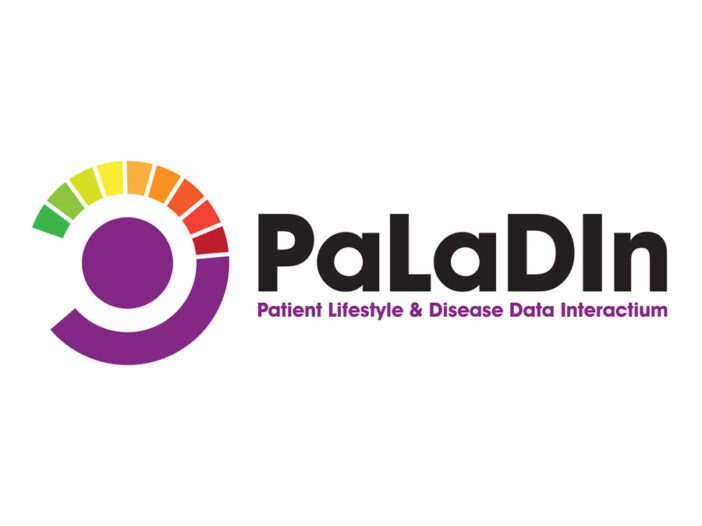 Project Paladln Logo